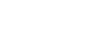 Company GmbH